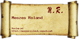 Meszes Roland névjegykártya